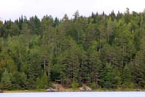 IMG_7561_cc.jpg