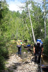 IMG_7728_cc.jpg