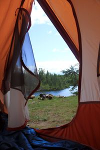 IMG_7733_cc.jpg