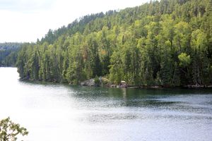 IMG_7743_cc.jpg