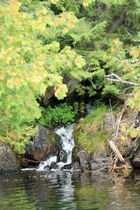 IMG_7871_cc.jpg