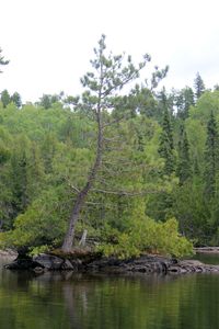 IMG_7875_cc.jpg