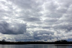 IMG_7903_cc.jpg