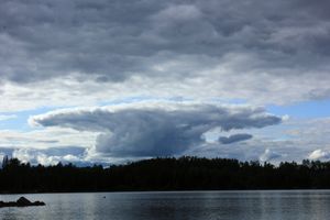 IMG_7919_cc.jpg