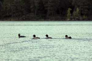 IMG_7963_cc.jpg