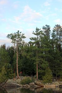 IMG_7968_.jpg