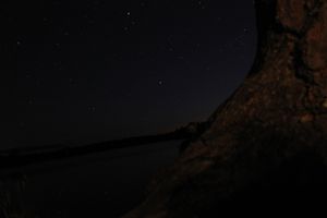 IMG_7980_cc.jpg