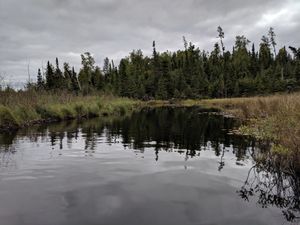 Jitterbug Lake.jpg