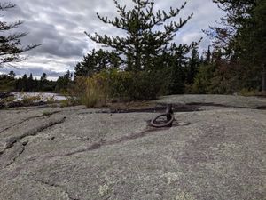 Logging Ring at Campsite on Ima Lake