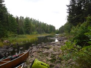 DSCF0247.jpg