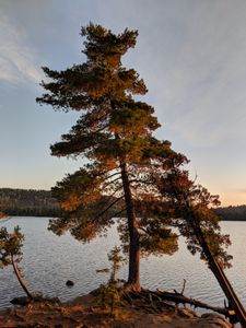 Campsite