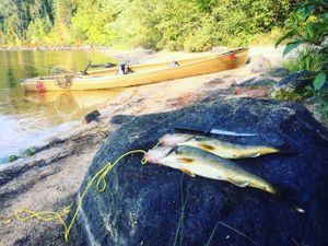 Walleye Beach