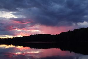 Flamingo Sunset