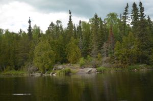 Adams Lake Site