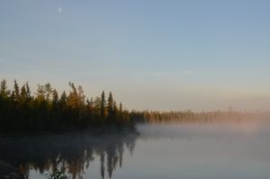 Hatchet Foggy Morning