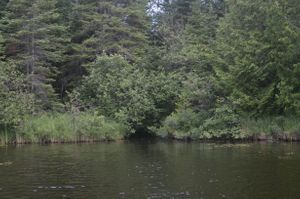 Glen Lake Landing