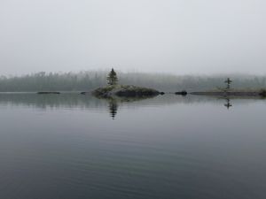 Disappointment Lake Islands