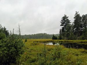 Portage