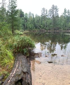 Portage
