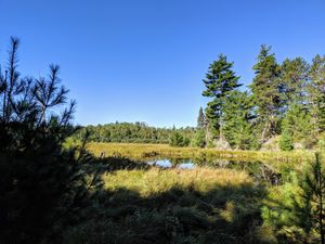 Portage