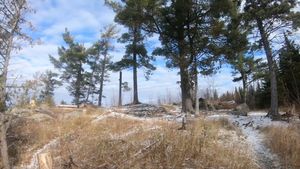 Lake 3 Campsite