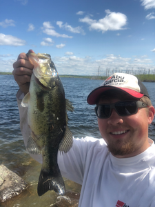 Largemouth bass on Quadga