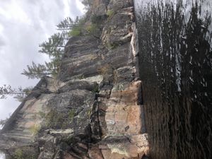 IMG_2916.JPG