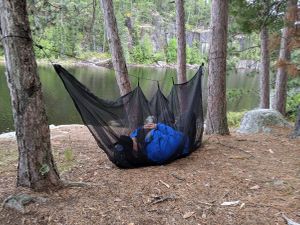 Escape from Mosquitoes