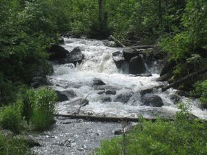 Snowbank_08_042.jpg