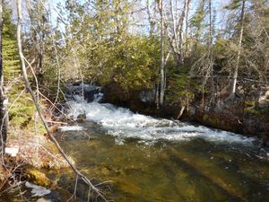 tiny waterfall