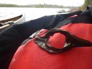 Fraser lake knot hole