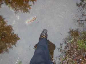 A foot in Kekekabic lake