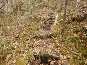 Beaver ~ Adams portage