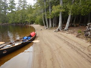 Alice lake beach camp