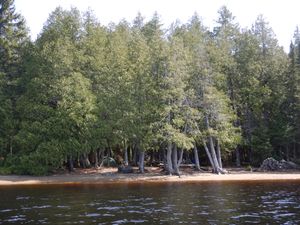 Alice lake beach camp