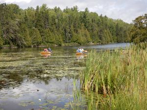 Paddling Bower Trout