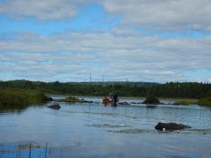 walking through the shallows