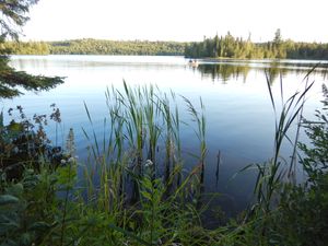 Fishing Swan lake