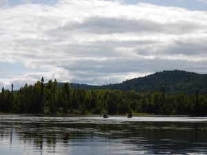 paddling