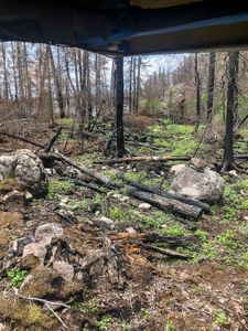 Carrying the canoe through recent burns west of Lightning Lake was a bit of a challenge.