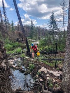 Carrying the canoe through recent burns west of Lightning Lake was a bit of a challenge.