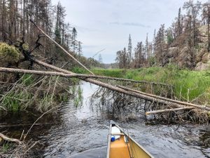 Paddling Royd Creek west towards Constellation Lake.