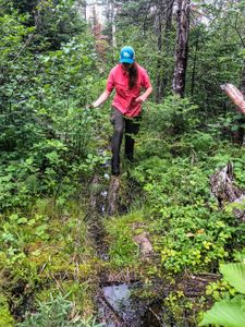 The 275m portage into Constellation Lake is somewhat manky.