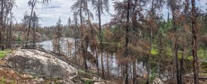 Portaging from Royd Lake to Kennedy Lake along Royd Creek.