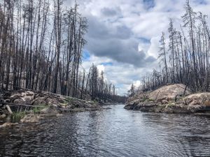 Utter devastation along the Gammon River between Hammerhead and Gammon Lake.