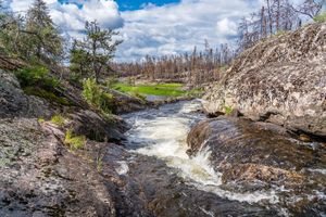 A lovely falls on the Gammon River near its outlet from Gammon Lake towards Hammerhead Lake.