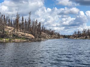 Paddling the south arm at the west end of Gammon Lake.