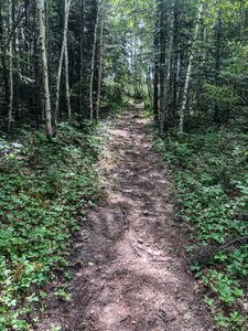 The 50m portage from Johnson Lake back up to the parking area.