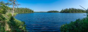 Johnson Lake and Woodland Caribou await