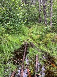 Portaging from Crystal Lake towards Indian House Lake.